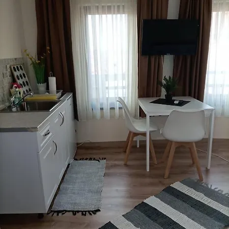 Damaris Guest house *